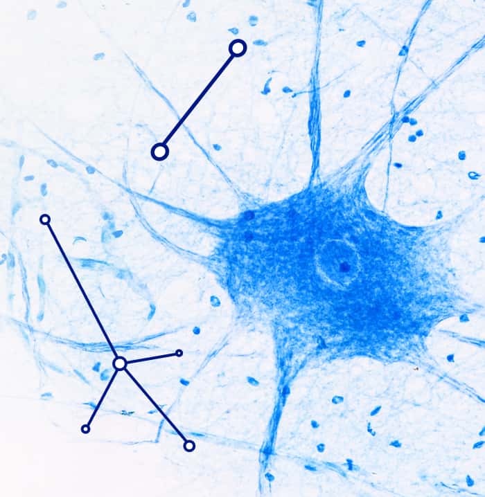 Нервная система: руководство от Магне В6<sup>®</sup>