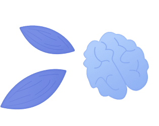 Орехи и семена